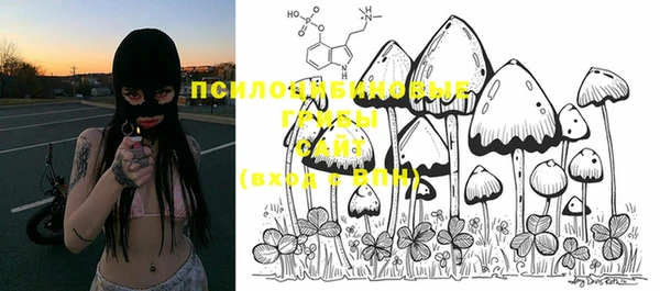 гашишное масло Новодвинск